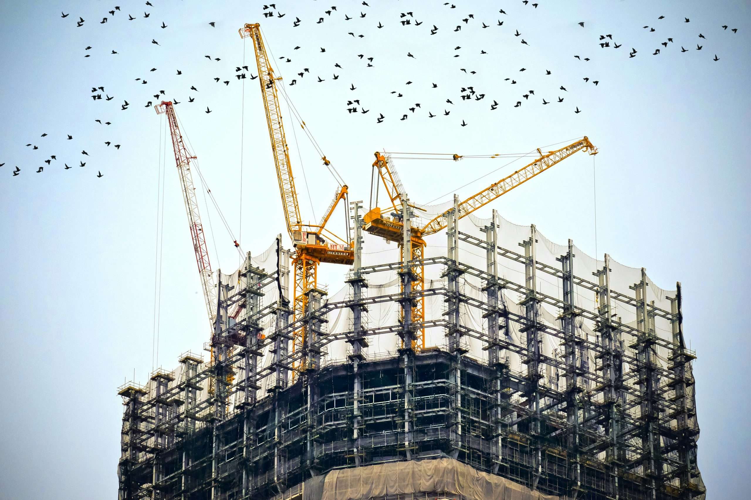 How to Choose Between Freelance Estimators and Estimating Firms